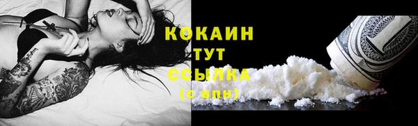 дживик Краснослободск