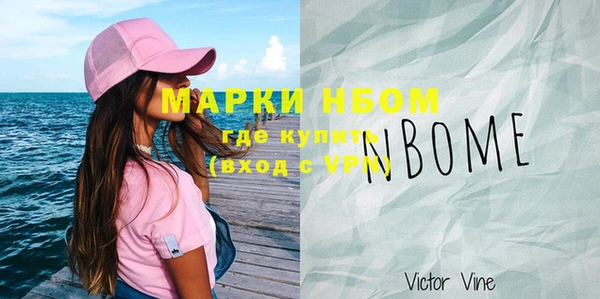 дживик Краснослободск