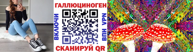 наркотики Курлово Галлюциногенные грибы мицелий
