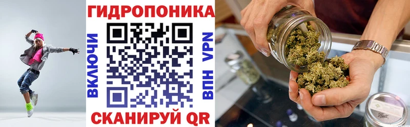 Конопля план  Курлово 